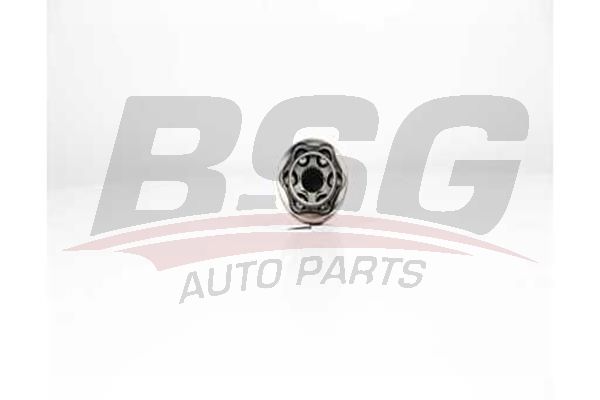 BSG 75340006 Aks Kafası Dış