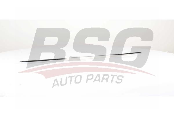 BSG 90924047 Kapı Bandı Arka Sağ