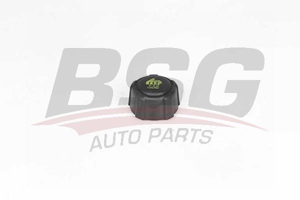 BSG 75551001 Radyatör Yedek Su Depo Kapağı