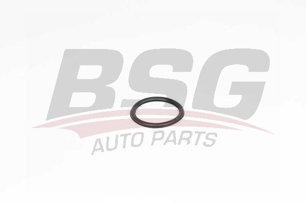 BSG 75116008 Termostat Contası