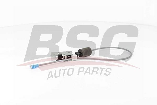 BSG 30975034 Kapı Kilidi Arka Sol