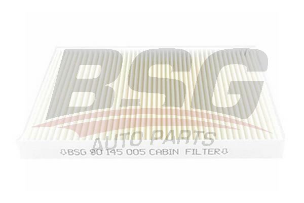 BSG 90145005 Polen Filtresi