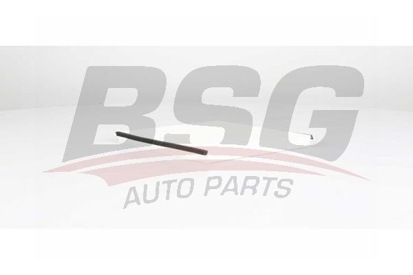 BSG 75145007 Polen Filtresi - . Görsel