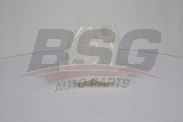 BSG 30550003 Radyatör Yedek Su Deposu - . Görsel