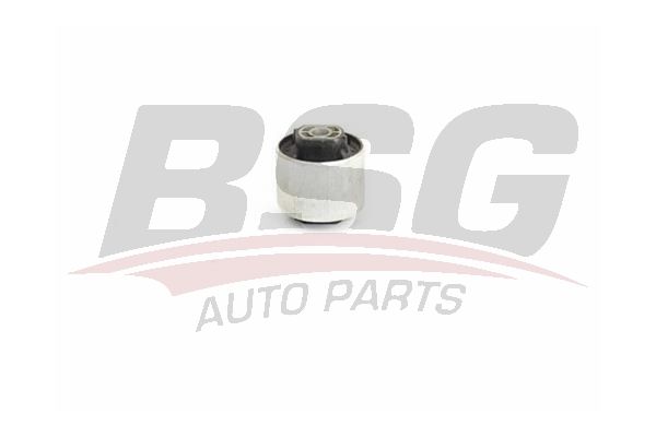 BSG 90700210 Dingil Burcu Arka