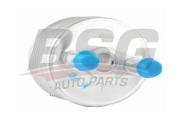 BSG 90506008 Yağ Soğutucusu - . Görsel