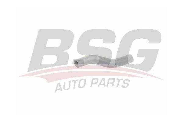 BSG 25720030 Yağlama Hortumu - . Görsel