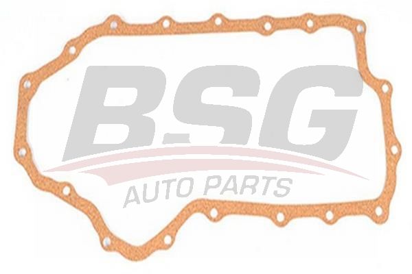 BSG 30116040 Karter Contası