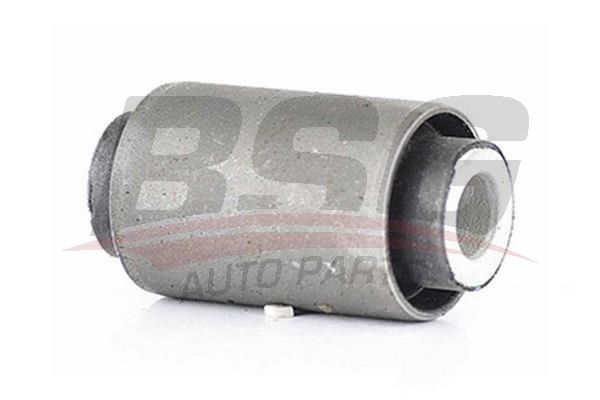 BSG 60700169 Salıncak Burcu Arka