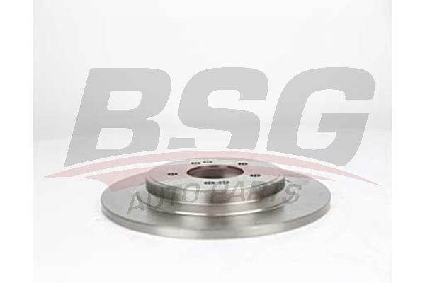 BSG 40210041 Fren Diski Arka