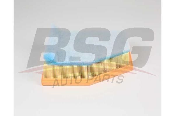 BSG 15135023 Hava Filtresi