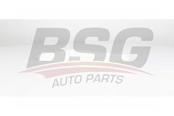 BSG 75145011 Polen Filtresi