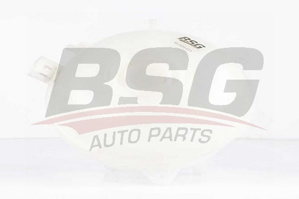 BSG 90550011 Radyatör Yedek Su Deposu