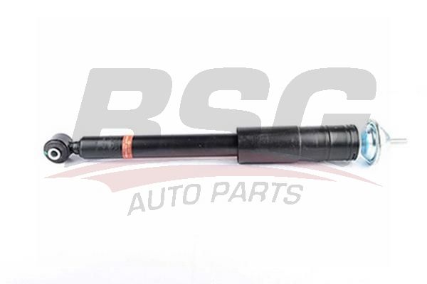 BSG 60300038 Amortisör Arka