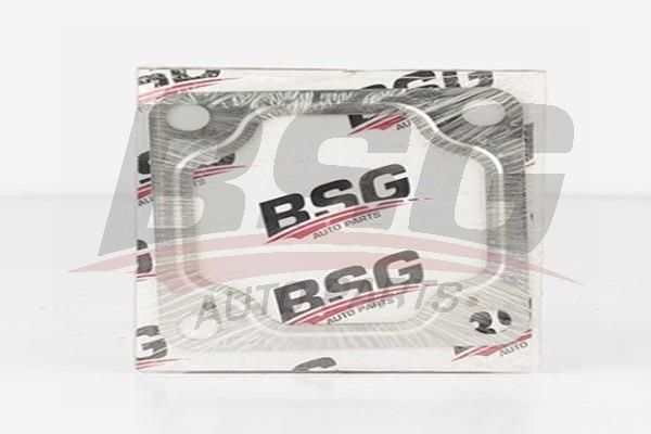 BSG 30116025 Egzos Boğaz Contası - . Görsel