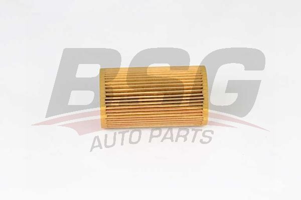 BSG 60140007 Yağ Filtresi