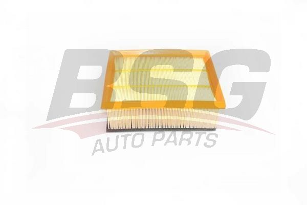 BSG 25135005 Hava Filtresi