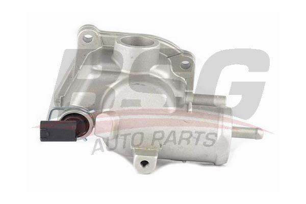 BSG 60125003 Termostat