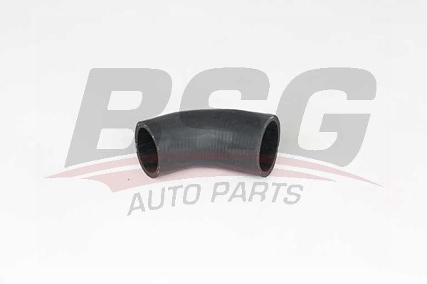BSG 65700350 Turbo Hortumu - . Görsel