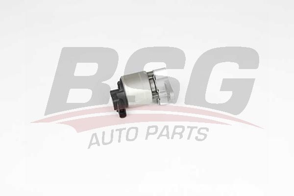 BSG 65836017 Egr Valfi