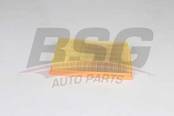 BSG 65135024 Hava Filtresi