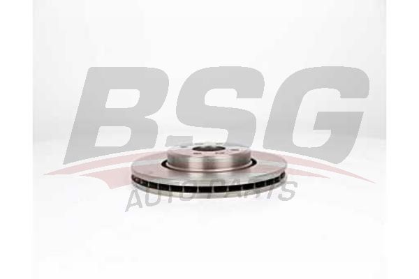BSG 75210004 Fren Diski Ön