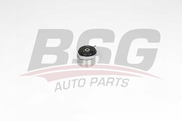 BSG 65615042 Eksantrik Gergi Rulmanı
