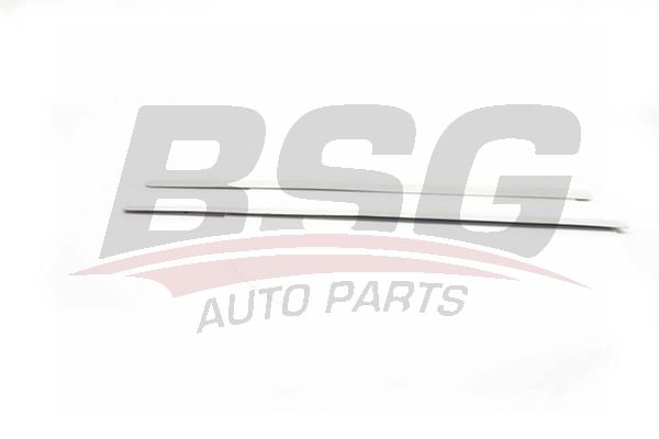 BSG 90924004 Kapı Bandı Takım