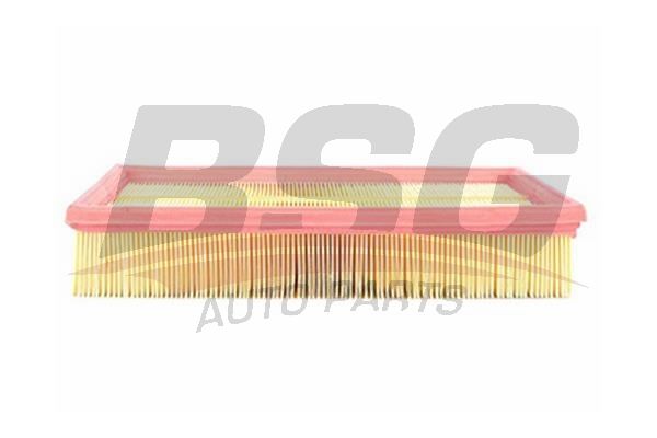 BSG 30135002 Hava Filtresi