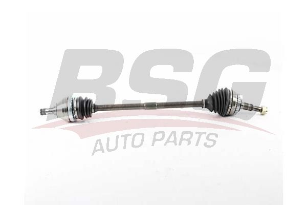 BSG 65350069 Aks Komple Ön Sağ - . Görsel