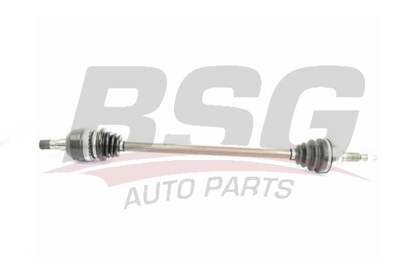 BSG 65350025 Aks Komple Ön Sağ