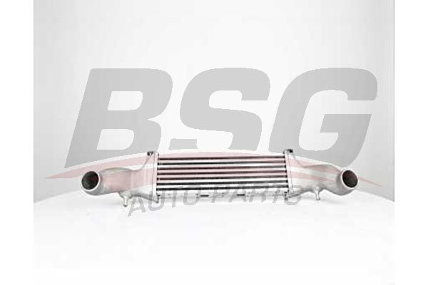 BSG 60535017 Turbo Radyatörü