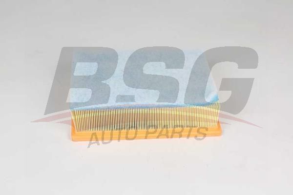 BSG 75135024 Hava Filtresi