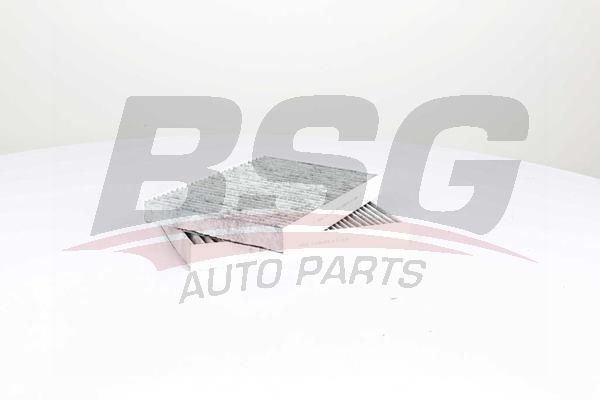 BSG 60145011 Polen Filtresi