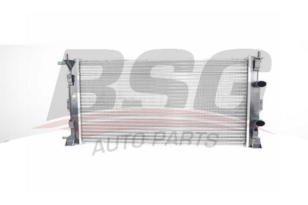 BSG 75520010 Su Radyatörü