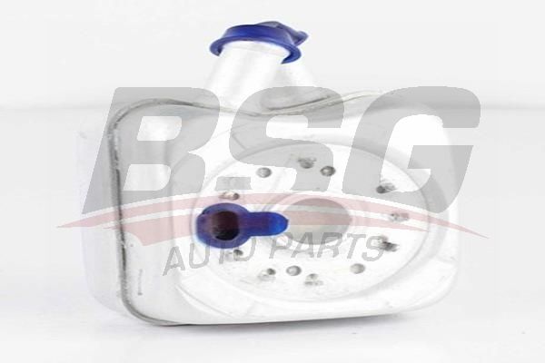 BSG 90506002 Yağ Soğutucusu