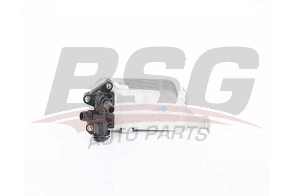 BSG 15506043 Şanzıman Yağ Soğutucu