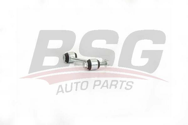 BSG 60310224 Viraj Askı Rotu Arka