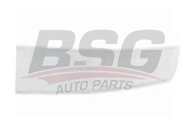 BSG 65924001 Kapı Bandı Ön Sol