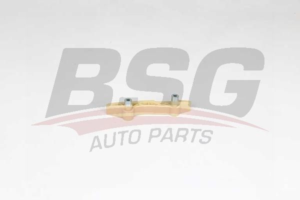 BSG 30109040 Eksantrik Zincir Gergisi - . Görsel