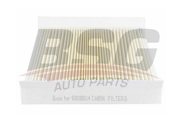 BSG 65145006 Polen Filtresi