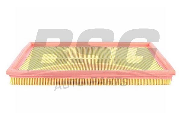 BSG 65135003 Hava Filtresi
