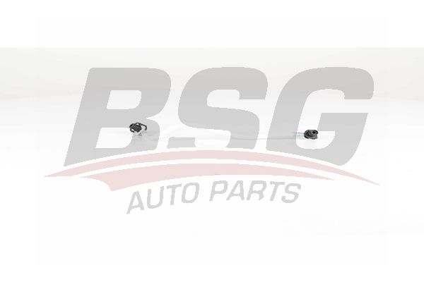 BSG 60725021 Yakıt Hortumu