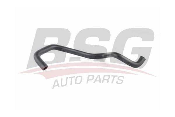 BSG 65720133 Motor Havalandırma Hortumu