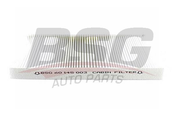 BSG 60145003 Polen Filtresi