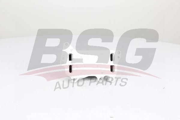 BSG 15506015 Yağ Radyatörü - . Görsel