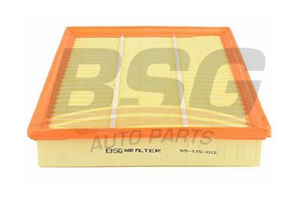 BSG 65135012 Hava Filtresi