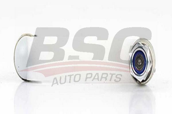 BSG 60310171 Viraj Askı Rotu Arka