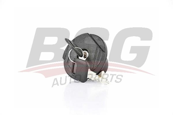 BSG 30971010 Depo Kapağı