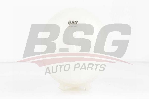BSG 70550009 Radyatör Yedek Su Deposu